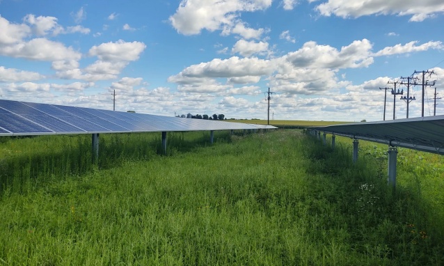 Mowing vs. Grazing Vegetation Strategies What Works Best